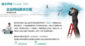 濮陽(yáng)通達(dá)網(wǎng)絡(luò) 為小型企業(yè)量身打造專業(yè)網(wǎng)站解決方案與推廣服務(wù)